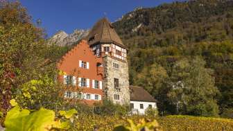 Blick auf das Rote Haus umgeben von herbstlicher Natur