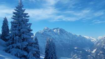 Blick Richtung Vorderglärnisch und Vrenelisgärtli