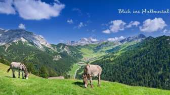 Hotel Oberland