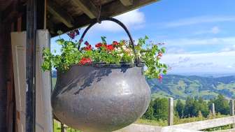 Aussicht mit Blumen