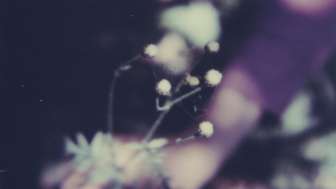 Simone Kappeler - nature vivante