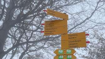 Wegweiser