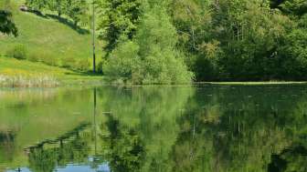 Siessenweiher hoch