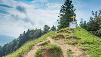 Aussicht