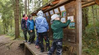 Der Fuchs auf Dux