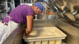 Käseproduktion 4