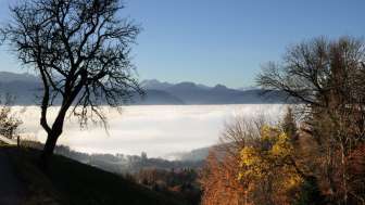 Aussicht vom Bannholz