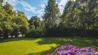 Park