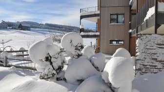 Gartenanlage Winter