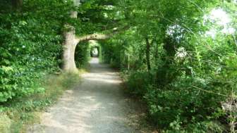 Spazierweg am See