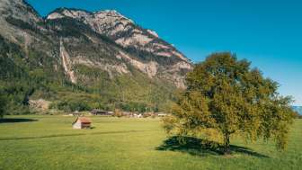 Ragnatscher Fall