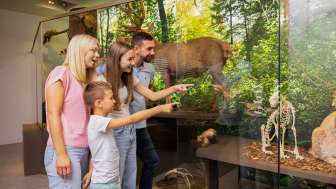 Familie betrachtet die naturkundliche Ausstellung im Liechtensteinischen LandesMuseum