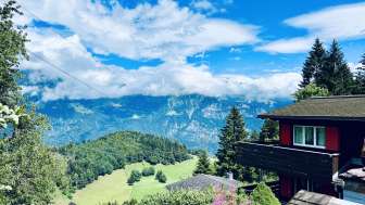 Ausblick