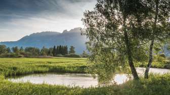 Ruhige Wasserlandschaft im Ruggeller Riet