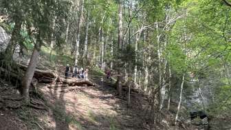 Goldloch auf dem Weg