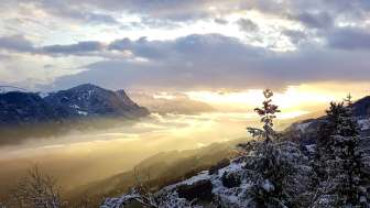 Aussicht