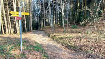 Wegweiser im Wald