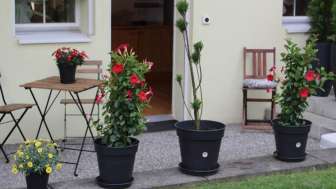 Terrasse Ferienwohnung Annette