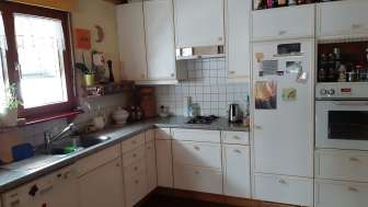 Voll ausgestattete Küchenzeile im Studio in Eschen mit Fenster, Herd, Backofen und Kühlschrank.
