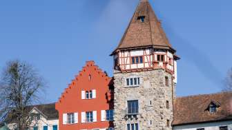 Rotes Haus mit Weinberg im Vordergrund