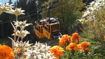 Älplibahn Malans