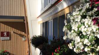 Blumen Sommer