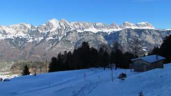 Panorama
