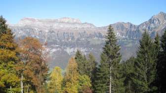Gauenpark (Whg. Meier)
