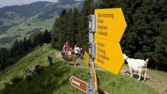 Bild von alter Webseite