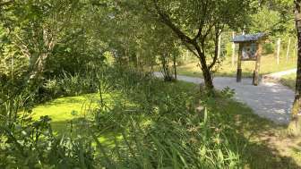 Bild der Natur um den Waldlehrpfad
