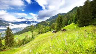 Hotel Oberland