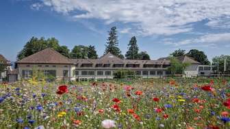 Hotelansicht Arenenberg