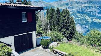 Chalet Wiesehöckli