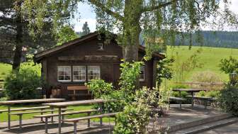 Garten Sommer