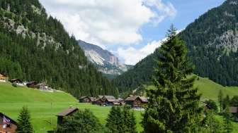 Ausblick im Sommer Ferienwohnung Wisliheim