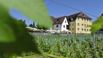 Aussenansicht des Hotel-Gasthof Löwen oberhalb der Weinberge