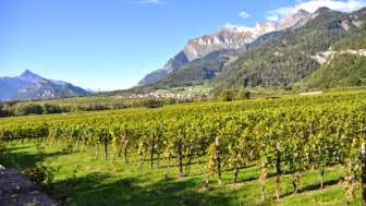 Weingut Anjan Boner