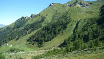 Grüne Alpwiesen und bewaldete Hänge rund um die Alp Lawena in Liechtenstein an einem klaren Sommertag, mit Blick auf die umliegenden Berge.