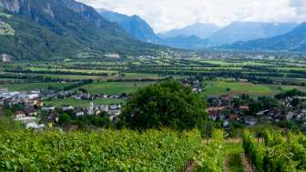 Weingut Castellum