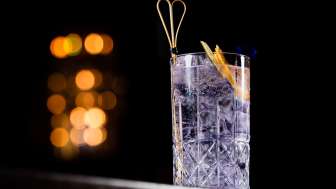 Einstein Bar Purple Gin Tonic