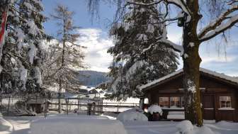 Garten Winter