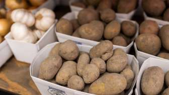 Frisch geerntete Kartoffeln und Knoblauch aus regionalem Anbau im Weltacker Gamprin-Bendern, präsentiert in weißen Schalen – Fokus auf nachhaltige Landwirtschaft.